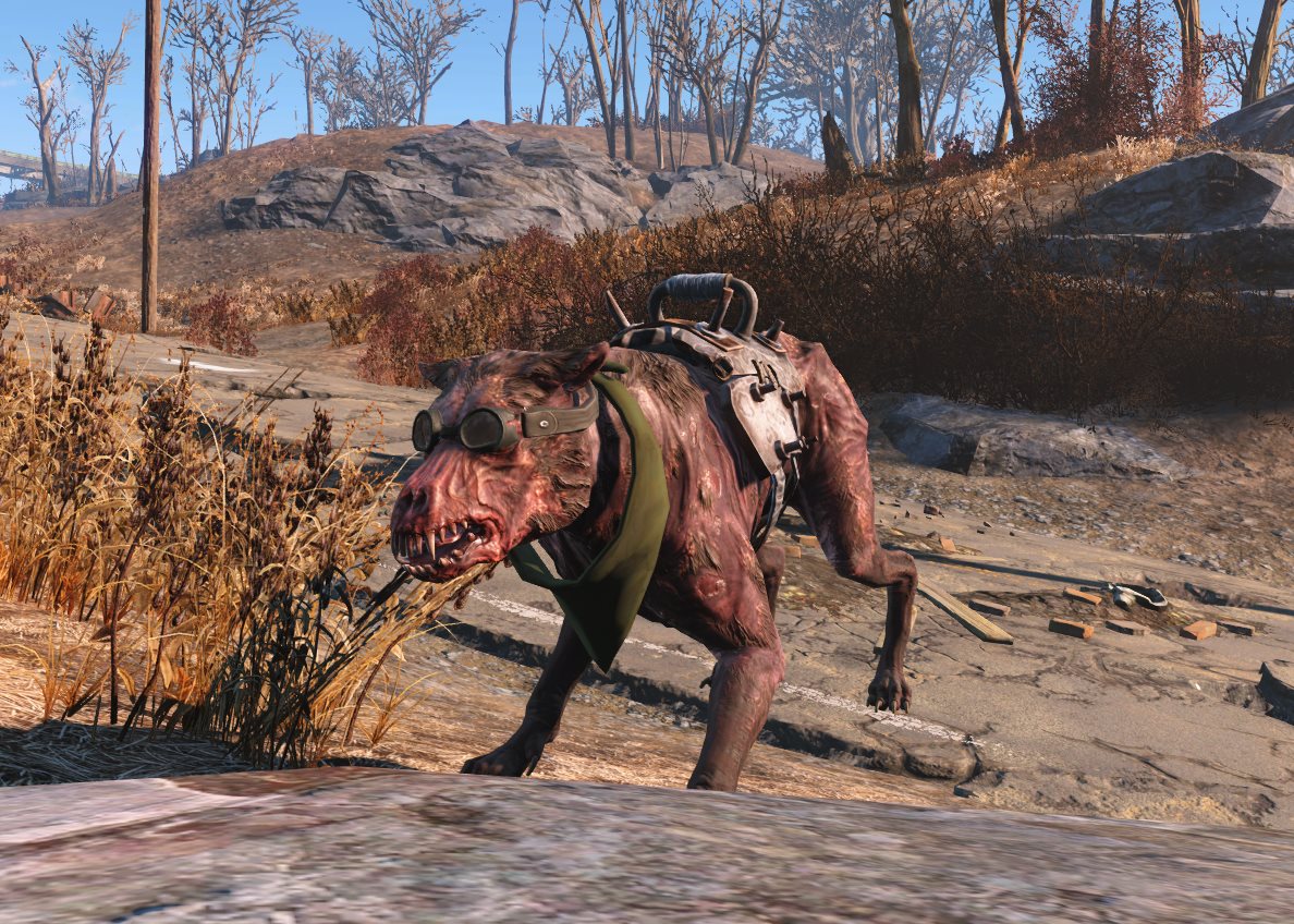 Attack Dog — Fallout 4