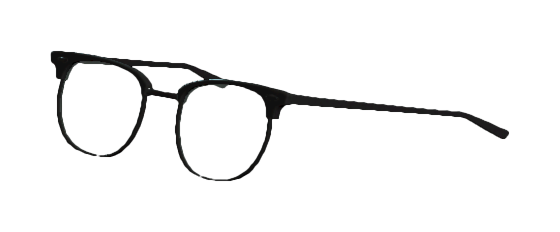 Eyeglasses — Fallout 4