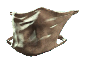 Surgical Mask — Fallout 4