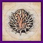 The Breath of Earth (Earthen Fury) — FINAL FANTASY XVI