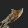 Radobaan Slab I Rarity 5 — Monster Hunter: World