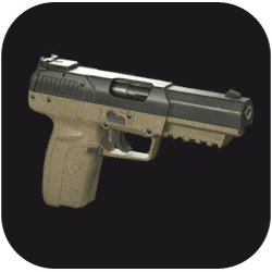 Punisher — Resident Evil 4