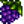 Grape — Stardew Valley