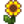 Sunflower — Stardew Valley