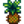 Pineapple — Stardew Valley
