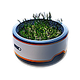 Basic Plant Pot — Subnautica: Below Zero