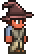 Wizard Hat — Terraria