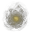/ Ash Shell — The Elder Scrolls V: Skyrim Special Edition