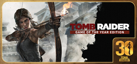 Tomb Raider Game of the Year official game artwork