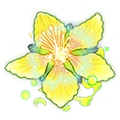 Flower of Eternity