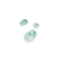 Slime Condensate