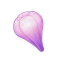 Amakumo Fruit
