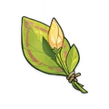 A Flower Yet to Bloom