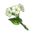 Qingxin