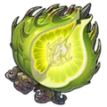 Myriad Fruit