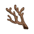 Coral Branch of a Distant Sea