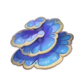 Rukkhashava Mushrooms