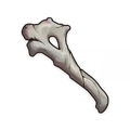 Fragile Bone Shard