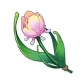 Rainbow Rose